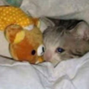 Meet your Posher, Grace